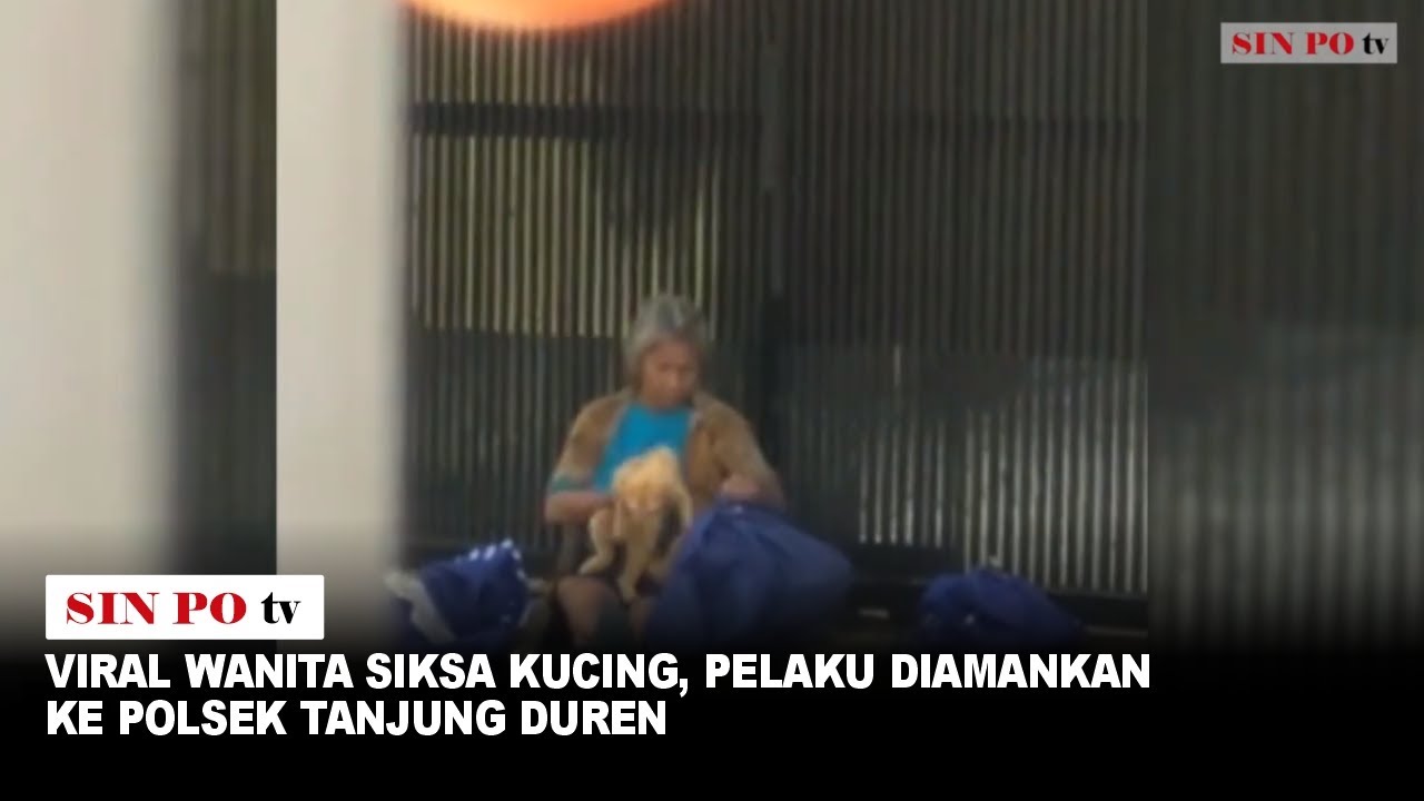 Viral! Wanita Siksa Kucing, Pelaku Diamankan ke Polsek Tanjung Duren
