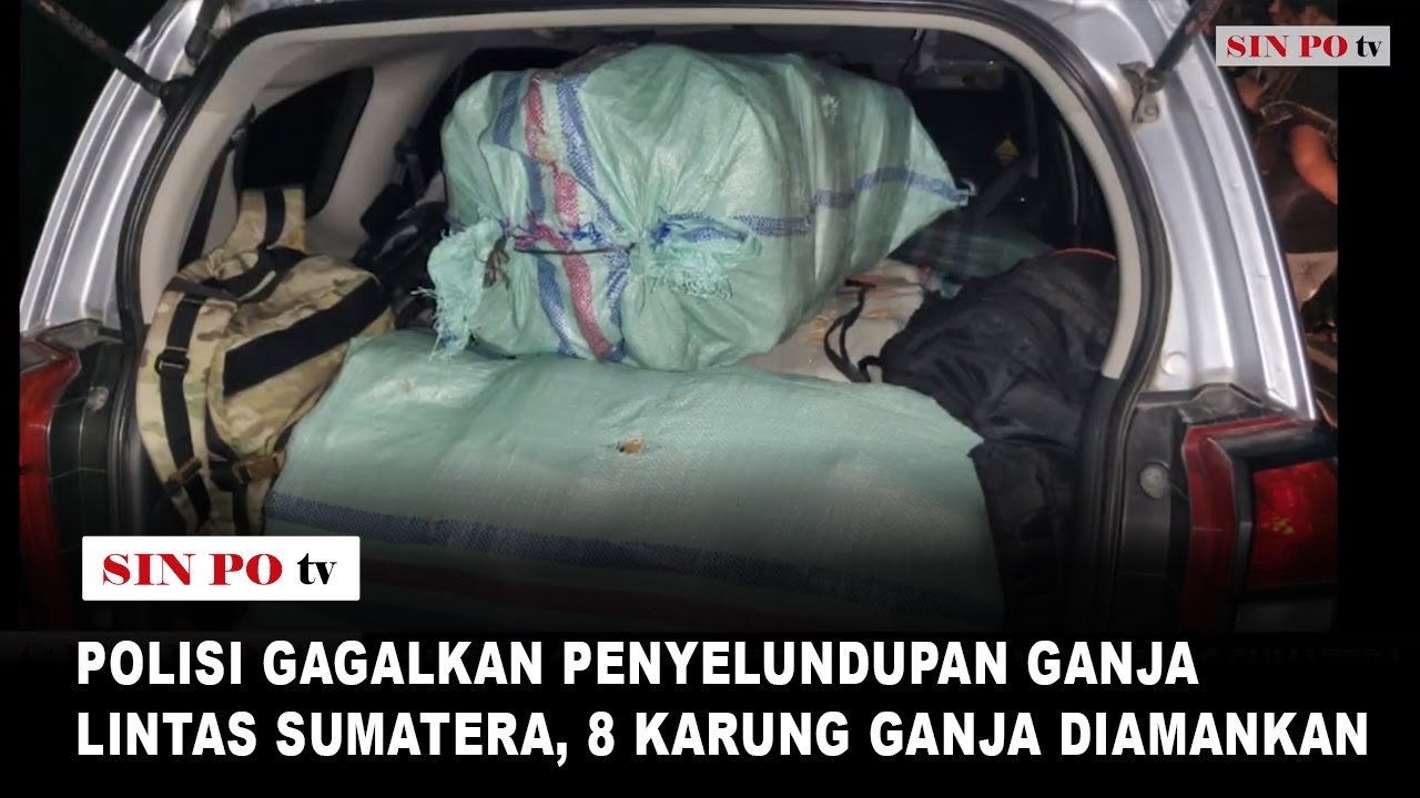 Polisi Gagalkan Penyelundupan Ganja Lintas Sumatera, 8 Karung Ganja Diamankan