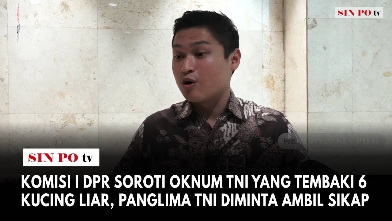 Komisi I DPR Soroti Oknum TNI Yang Tembaki 6 Kucing Liar, Panglima TNI Diminta Ambil Sikap