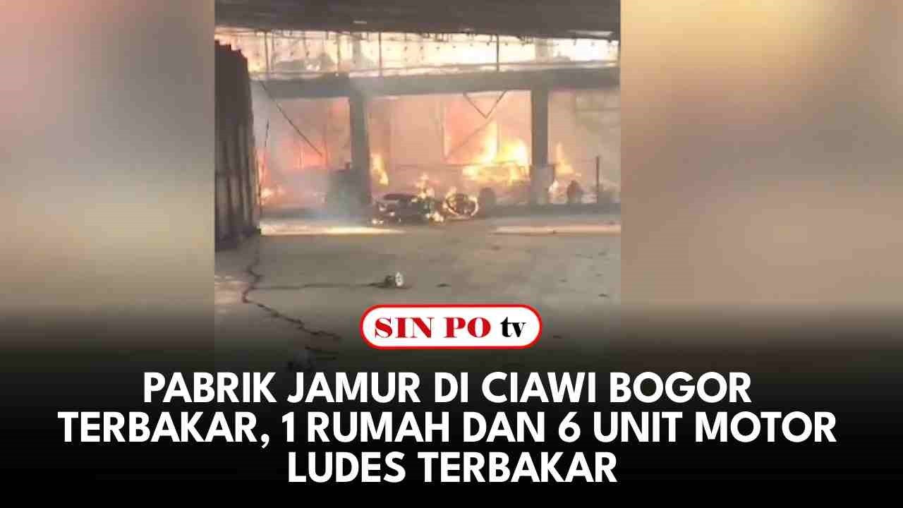 Pabrik Jamur di Ciawi Bogor Terbakar, 1 Rumah dan 6 Unit Motor Ludes Terbakar