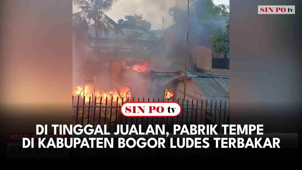 Di Tinggal Jualan, Pabrik Tempe di Kabupaten Bogor Ludes Terbakar