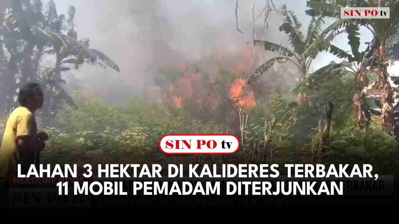 Lahan Seluas 3 Hektar Di Kalideres Terbakar, 11 Mobil Pemadam Diterjunkan