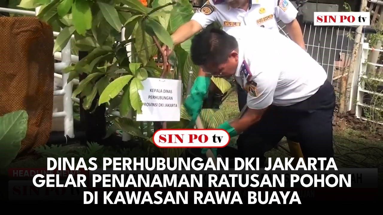 Dinas Perhubungan DKI Jakarta Gelar Penanaman Ratusan Pohon Di Kawasan Rawa Buaya